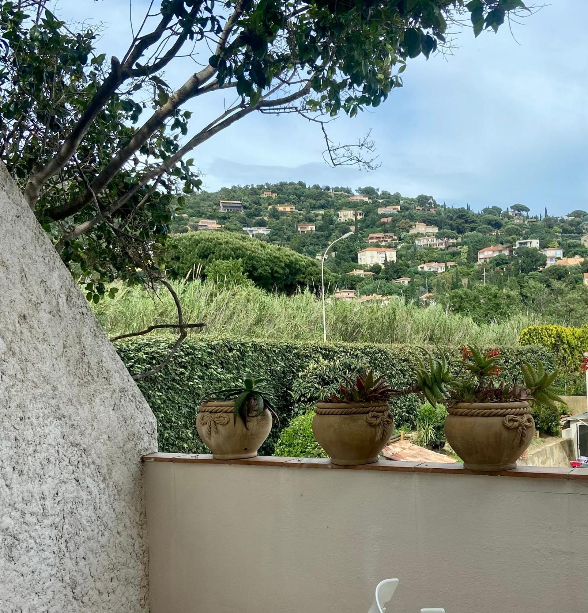 Hotel Les Alcyons Le Lavandou Exterior foto